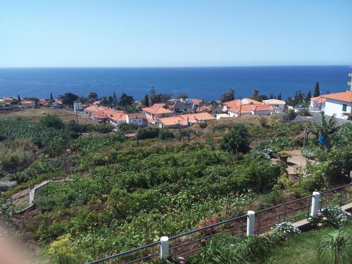 Cottage house Caniço Екстериор снимка