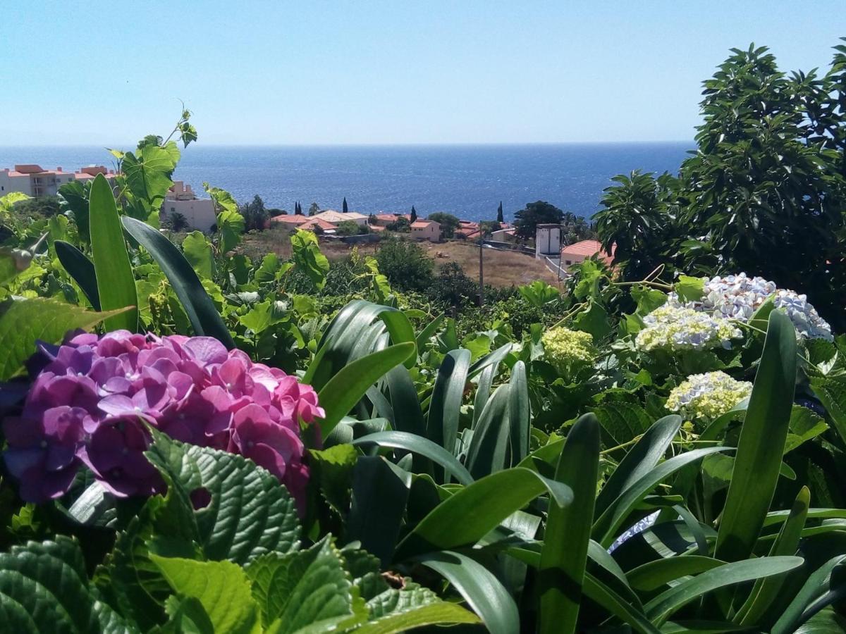 Cottage house Caniço Екстериор снимка